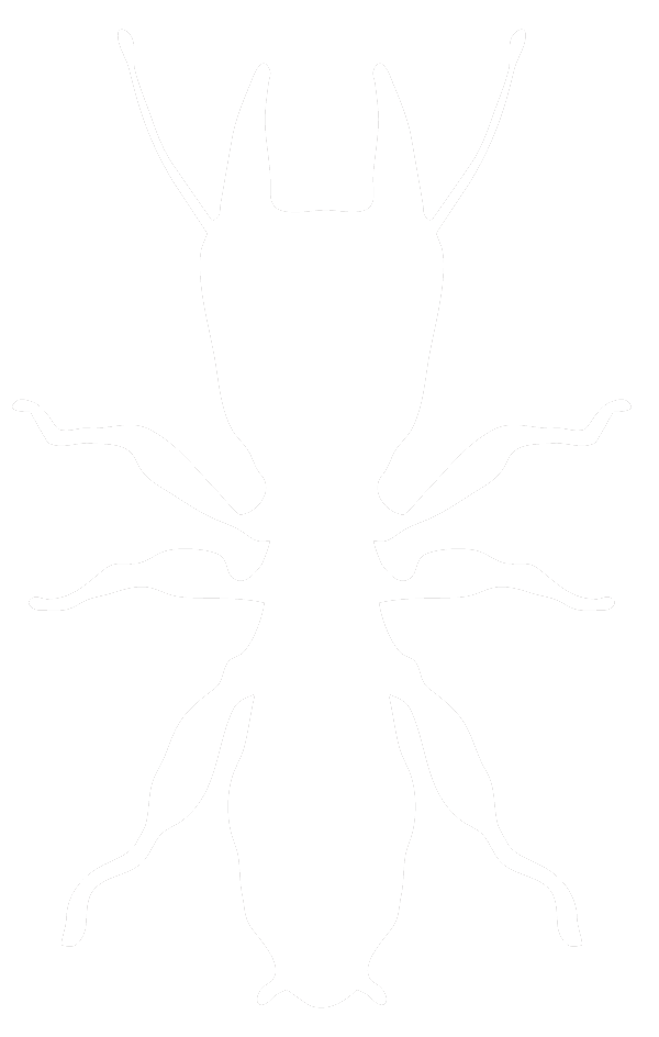 termite icon